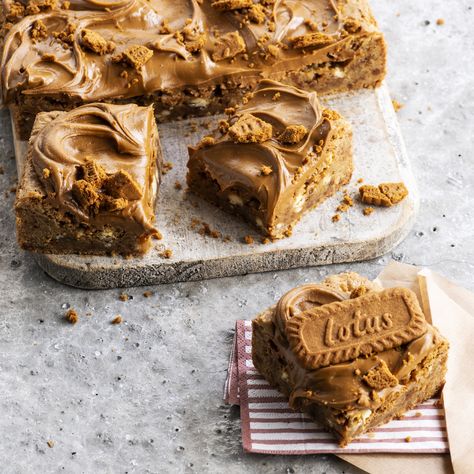 Biscoff Blondie Biscoff Blondies, Biscoff Cake, Biscoff Biscuits, Biscoff Cheesecake, Biscoff Cookies, Lotus Biscoff, Cookie Crumbs, Brownie Cake, Fudge Brownies