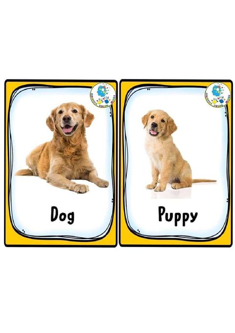 Animals And Their Young Ones, Animals And Their Babies, Wild Animals List, Community Helpers Preschool Activities, D Is For Dog, Baby Language, Dylan Dog, English Help, English Activities For Kids