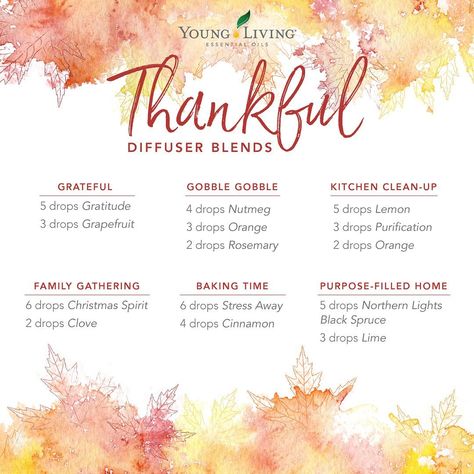 Homemade Reed Diffuser, Diffuser Blends Young Living, Thanksgiving Essentials, Fall Essential Oils, Fall Diffuser Blends, Young Living Diffuser, Mountain Rose, Essential Oil Diffuser Blends Recipes, Young Living Essential Oils Recipes