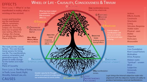 Causality-Base17-Wheel-of-Life-OG Esoteric Teachings, Tree Symbolism, Kabbalah Tree Of Life, Bible Meaning, Spiritual Alchemy, Nature Symbols, Spiritual Science, Universal Laws, Zodiac Society