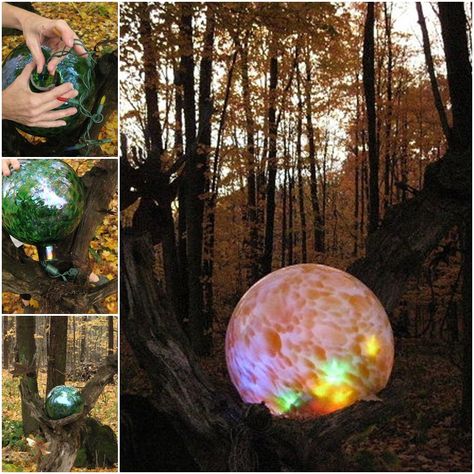 What a great idea. The lights ball give your garden a little mystery, particularly at night, it gives out special effect. You may be able to find this clear glass globe at flea market. What you need: Glass gazing ball Colored LED light Click below link for instruction: Lighted gazing ball mounted in an old log Garden Globes, Garden Balls, Colored Led Lights, Upcycle Garden, Magic Garden, Gazing Ball, Love Garden, Ball Lights, Garden Crafts