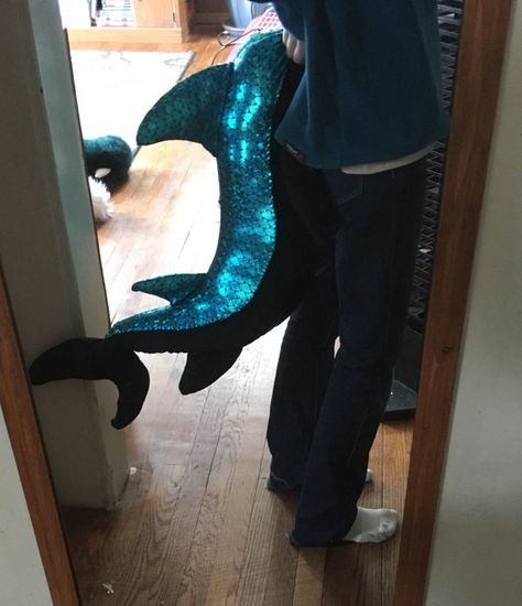 Shark Fursuit, Shark Tail, Tiger Shark, Anatomy Art, Trending Outfits, Clothes