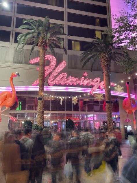 neon lights, pink neon light, blurry, long exposure, people walking, las vegas, palm trees, night, flamingo las vegas, vibey, vibe Pink Las Vegas, Las Vegas Pink Aesthetic, Flamingo Vegas, Las Vegas Palm Trees, Flamingo Las Vegas, Las Vegas Neon Signs, Flamingo, Las Vegas, Pink