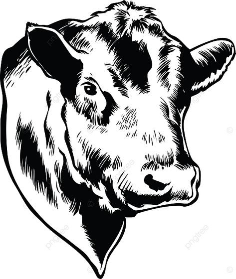 vaca,steer,casero,ilustración,mamífero,granja,cabeza,doméstico,vector,vacas,los mamíferos,toro,animales,animal Bull Head Drawing, Toro Vector, Toro Logo, Pallet Heart, Cow Logo, Cattle Brands, Head Drawing, Drawing Pictures, Drawing Heads