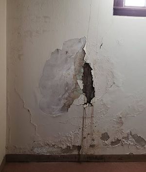 Leaking Basement, Wall Repair, Basement Waterproofing, Expanding Foam, Skull Crafts, Cement Walls, Foundation Repair, Waterproofing Basement, Basement Walls