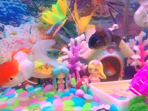 Pretty Fish Tank Ideas, Fish Tank Cute, Kawaii Fish Tank, Pet Fish Aesthetic, Fish Perspective, Pretty Fish Tank, Pink Fish Tank, Fish Tank Art, Cute Aquarium