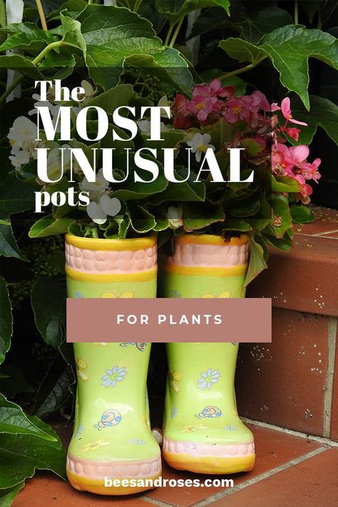 I absolutely love it when I can find unique pots for my unique plants. I found the coolest polka dotted pot at the thrift store the other day! Since then, I’ve been obsessed with finding other pots that look just as cool. Take a look at some of my favorite unusual pots for indoor plants. These planter ideas are definitely eye-catching! #pots #gardeningideas Backyard Porch Decorating, Front Porch Decor Winter, Unique Pots For Plants, Herb Container Garden Ideas, Country Front Porch Decor, Porch Decor Apartment, Potato Container, Perennials In Containers, Diy Country Home Decor