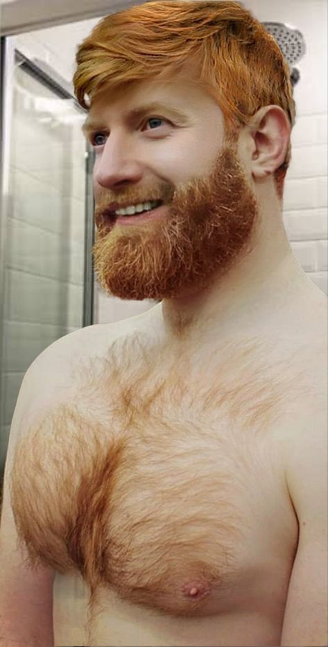 Ginger Hair Men, Beard Images, Red Hair Men, Redhead Men, Red Beard, Ginger Beard, Scruffy Men, Ginger Men, Great Beards