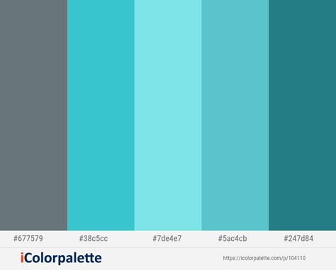 Tosca Pallete, Arizona Bedroom, Turquoise Color Palette, Room Theme, Palette Design, Blue Colour Palette, Color Palette Design, Slate Gray, Theme Ideas