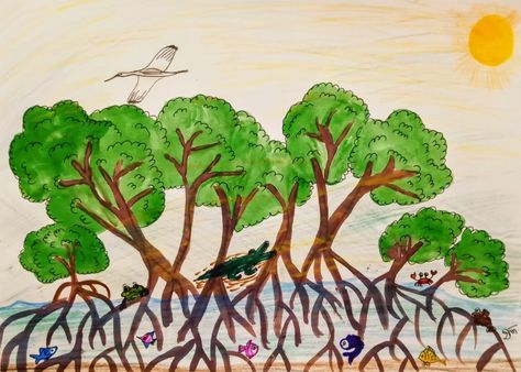 Mangrove Drawing, Forest Drawing Easy, Mangrove Ecosystem, Science Homeschool, Sustainable Management, Forest Drawing, Forest Ecosystem, Mangrove Forest, Beautiful Forest