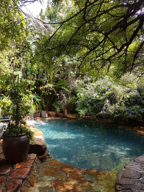 Like swimming in a mountain rock pool......except all mine! Pools That Look Like Ponds, Natural Spring Pool, Natural Pools Backyard Swimming Ponds Water Garden, Oasis Backyard Ideas, Pool In Garden, Nature Pool, Lush Backyard, Backyard Nature, Mountain Rock