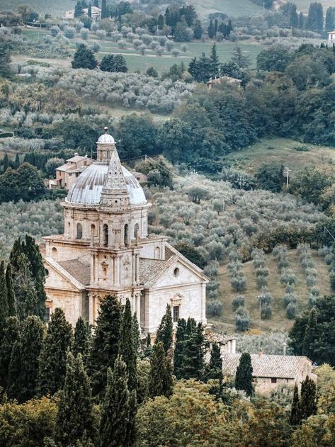 What to see and do in Montepulciano - Tuscany, Italy Montepulciano Wine, Wine Truffles, Truffle Hunting, Italy Tours, Montepulciano, Wine Clubs, Medieval Town, A Hill, Wine Tour