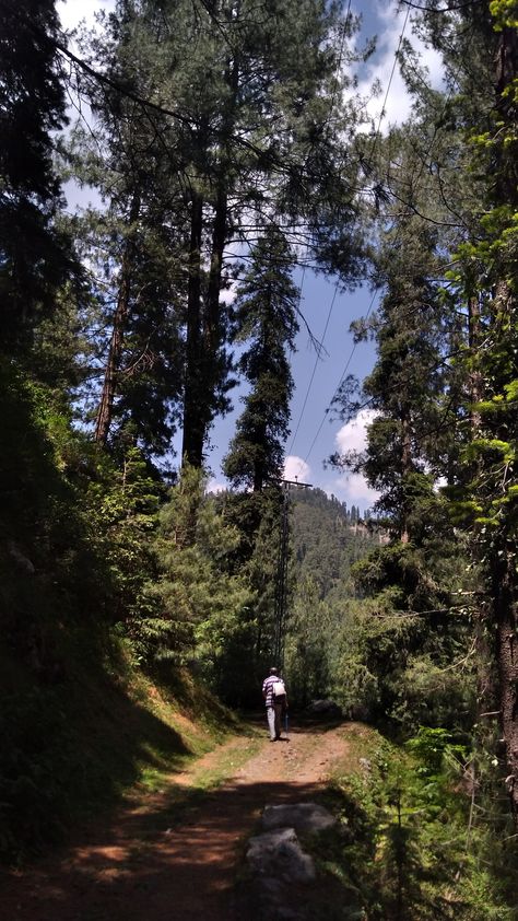 Nathia Gali, Mood Bored, Country Roads, Road