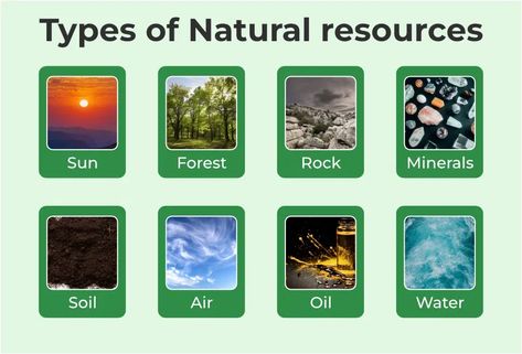 Types Of Natural Resources, Dress Room, Natural Resource, Oil Water, Natural Resources, Natural Makeup, 10 Things, Quick Saves, Nature