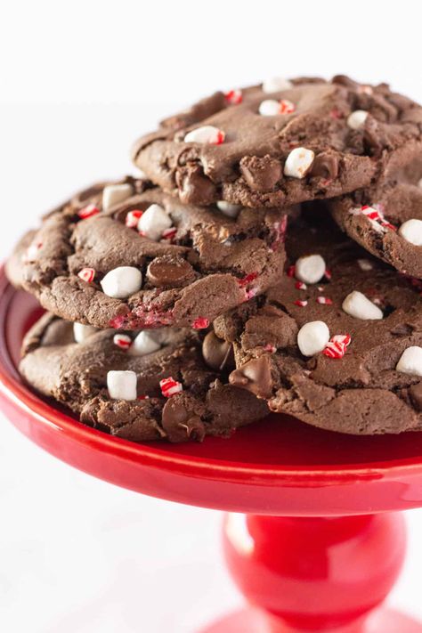 Peppermint Hot Cocoa Cookies, Easy Hot Cocoa, Peppermint Cookie Recipe, Hot Cocoa Cookies, Peppermint Hot Cocoa, Chocolate Peppermint Cookies, Cake Mix Cookie Recipes, Cocoa Cookies, Tasty Chocolate Cake