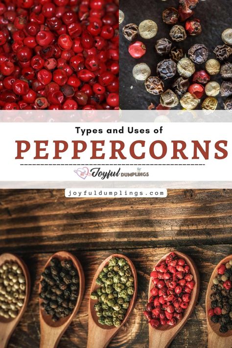 types of peppercorns Piper Nigrum, Pepper Plant, Cooking 101, Pepper Plants, Black Peppercorn, The Fruit, Learn To Cook, Find Recipes, Dumplings