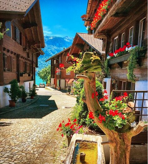 Brienz, Bern ! Photo: swissmonamour Switzerland Homes, Brienz Switzerland, Swiss Chalet, Dream Vacations Destinations, Garden Villa, Colorado Hiking, Pacific Crest Trail, Interlaken, Beautiful Streets