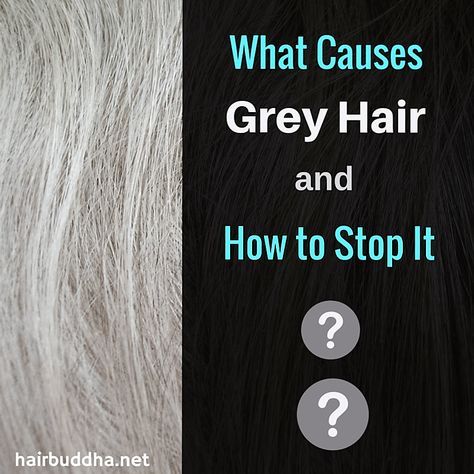 Grey Hair Modern, What Causes Gray Hair, Grey Hair Reversal, Stop Grey Hair, Older Hair, Grey Hair Remedies, Reverse Gray Hair, Prevent Grey Hair, Grey Hair Care