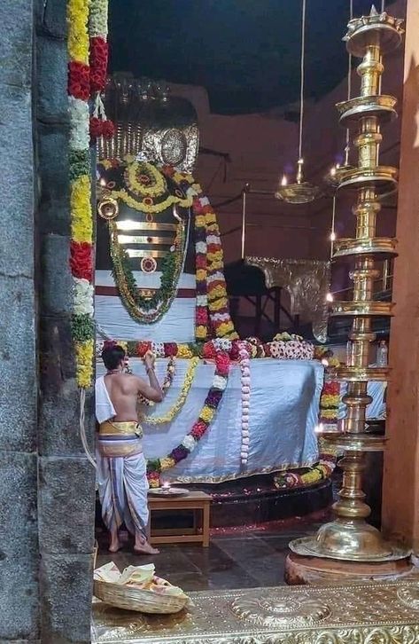 Shivaya Lord Shiva, Namo Namo Ji Shankara, Kaveri River, Brihadeeswarar Temple, Chola Temples, Indian Goddess Kali, Shiva Shankara, Godly Play, Lion King Pictures