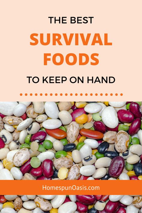 The Best Survival Foods to Keep on Hand for Emergencies | Check out this list of long-term storage and prepping survival foods you should be eating in everyday life -- that aren't canned food. Prepping, survival and prepping, preparedness, emergency prepareness, prepper ideas Best Survival Food, Preppers Pantry, Survival Foods, Shtf Survival, Doomsday Prepping, Survival Supplies, Survival Quotes, Survival Shelter, Prepper Survival