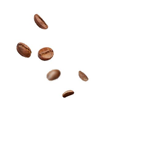 Guayoyo Coffee Sticker for iOS & Android | GIPHY Coffee Gif Transparent, Coffee Grain, Coffee Jelly, Gif Png, Coffee Gif, Coffee Png, Coffee Stickers, Coffee Beans, Ios