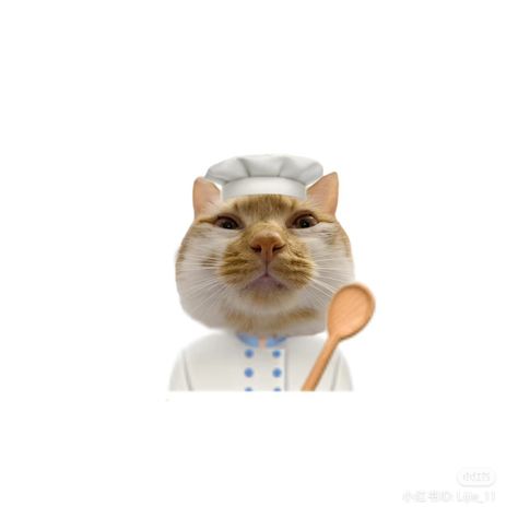 Chef Cat, Goofy Drawing, Cat Icon, Cute Doodles, Teaching English, Presentation Board, Cutie Patootie, Cute Icons, Cat Memes