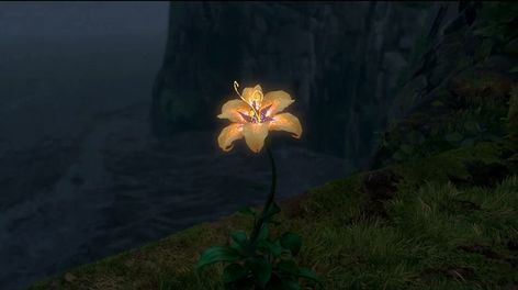 Flower From Tangled, Tangled 2010, Cute Laptop Wallpaper, Cute Laptop, Laptop Wallpapers, Mac Wallpaper, Wallpaper Laptop, Golden Flower, Old Disney