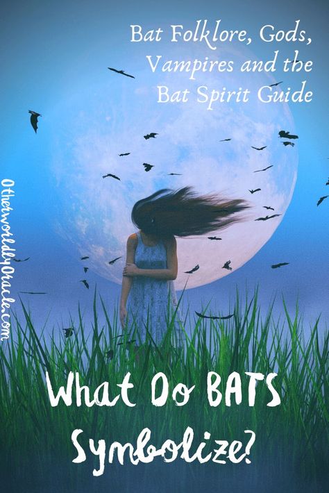 The bat. I’m talking about that fuzzy denizen of the night. That hangs upside down to sleep during the day. You know the one that vampires supposedly shapeshift into? What happens if you start seeing bats everywhere? In this article, we take a journey into the proverbial cave, into the night, to answer the question what do bats symbolize? Plus talk about the bat spirit guide and the magick it brings into one’s life. Spirit Guide, Vampire Bat, White Witch, Into The Night, Spirit Guides, Love And Light, Spirit Animal, Upside Down, To Sleep