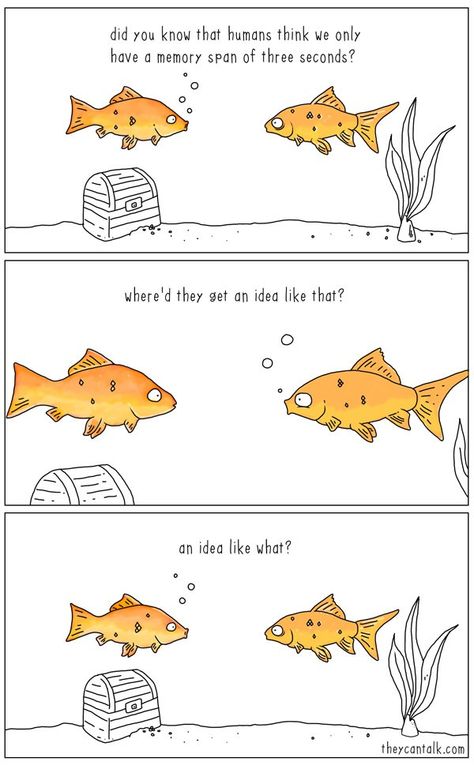 Actually, goldfish can remember a lot Short Funny Comics, Comic Template, 4 Panel Life, Funny Animal Comics, Funny Relationship Quotes, Funny Illustration, Comic Collection, Funny Relationship, Cute Comics