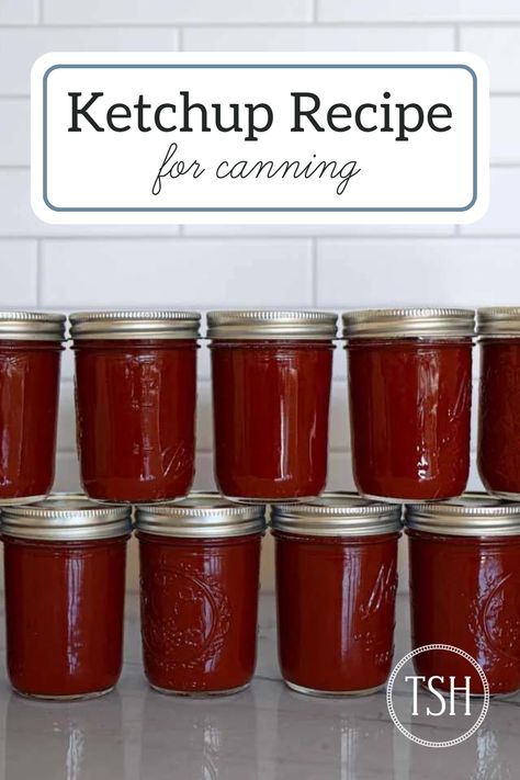 A ketchup recipe that tastes good AND is safe for water-bath canning. Our friend and family have raved over this ketchup!  It's our favorite ketchup for canning. Canning Homemade Ketchup, Canning Ketchup Water Bath, Canned Ketchup Recipe, Canning Catsup, Homemade Ketchup For Canning, Canning Ketchup Recipe, Hot Water Bath Canning Recipes, Steam Canning Recipes, Ketchup For Canning