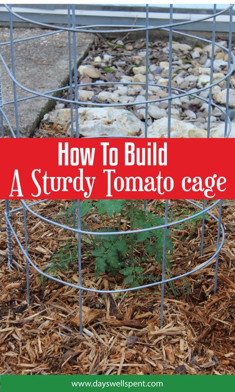 Tomato Gardening, Vegetables Growing, Vertical Vegetable Gardens, Tomato Trellis, Growing Tomatoes In Containers, Tomato Seedlings, Garden Tool Shed, Backyard Designs, Organic Vegetable Garden