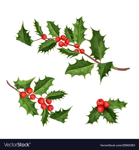 New Year Art, 3d Quilling, Christmas Border, 카드 디자인, Holly Leaves, Holiday Set, Holly Berries, Christmas Drawing, Holly Leaf