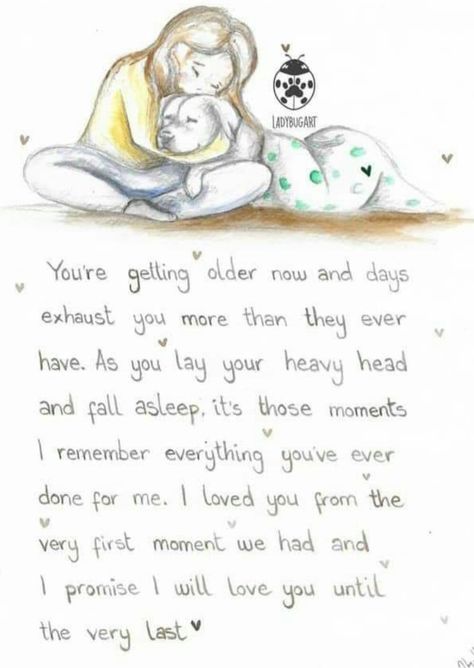 Getting Old Quotes, Puppy Quotes, Miss My Dog, Dog Poems, Dog Quotes Love, Dog Heaven, Helpful Things, Pet Remembrance, Bug Art