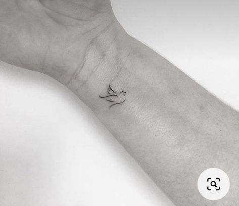 Tattoos That Fade Well, Petite Bird Tattoo, Robin And Butterfly Tattoo, Bluebird Line Tattoo, Dainty Robin Tattoo, Tiny Blackbird Tattoo, Wren Bird Tattoo Simple, Small Robin Tattoo Black And White, Fine Line Blue Bird Tattoo