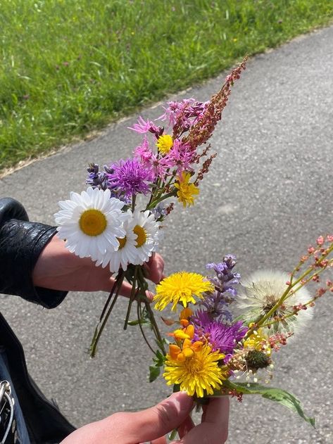 🪬 Healing Summer, Giant Animals, Spring Aesthetic, Scenery Wallpaper, Love Flowers, How Beautiful, Flower Power, Flowers Bouquet, Floral Arrangements