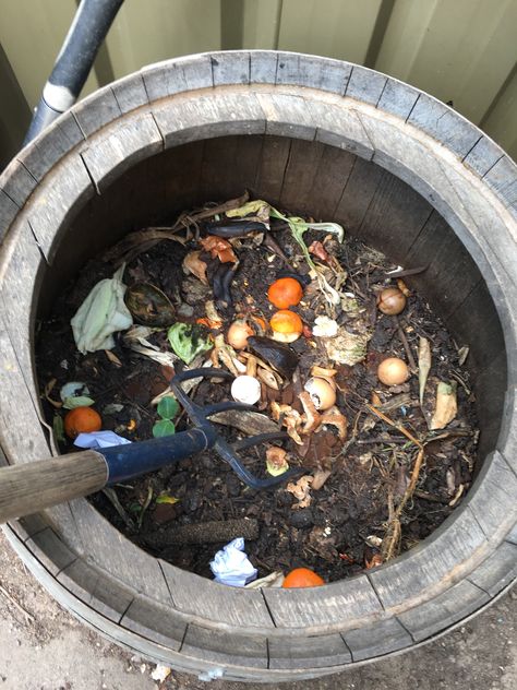 Ways to Start Composting Kitchen Waste - A Beginners Guide - Eco Family Life Kitchen Waste Compost, Compost Kitchen, How To Start Composting, Start Composting, Making A Compost Bin, Composting Methods, How To Compost, Kitchen Compost Bin, Vegetable Scraps