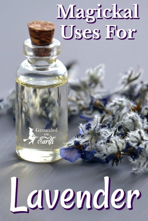 Uses For Lavender, Lavender Uses, Lavender Crafts, Magickal Herbs, Witch Herbs, Lavender Herb, Healing Magic, Magic Herbs, Magical Herbs