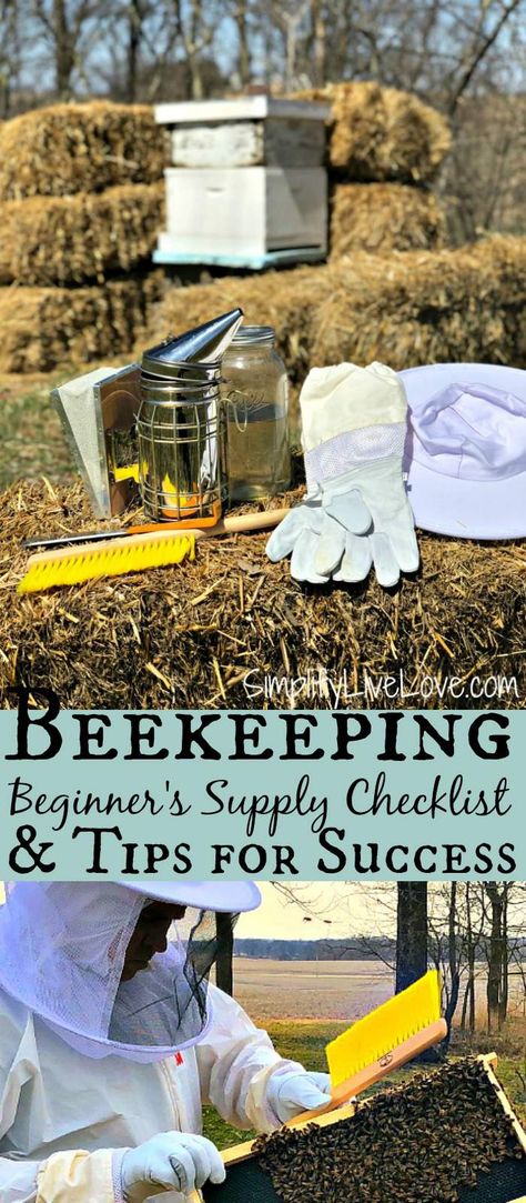 How To Start Beekeeping, Drone Bee, Backyard Bee, Beekeeping For Beginners, Raising Bees, Beekeeping Equipment, Backyard Beekeeping, Bee Boxes, Bee Keeping Supplies