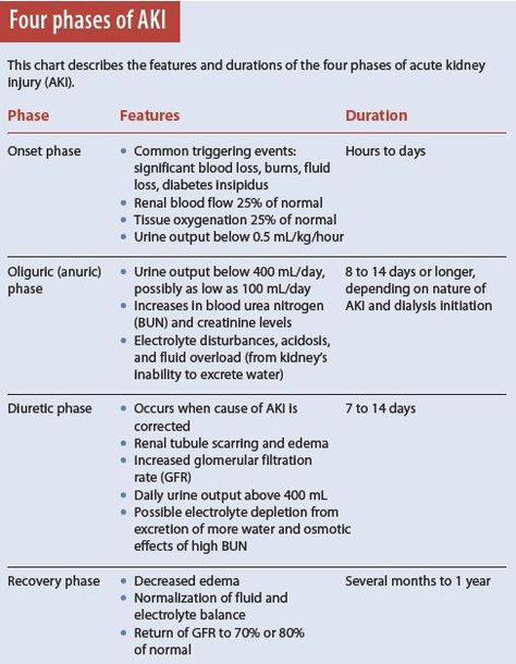 Four phases of AKI (Acute Kidney Injury) . . . . . . . . . . nursing student, medical, doctor, RN, NP, PA, MD, DO. Acute Kidney Injury Nursing, Aki Nursing, Kidneys Nursing, Renal System, Acute Kidney Injury, Nursing Board, Med Surg Nursing, Nursing Mnemonics, Nursing School Survival