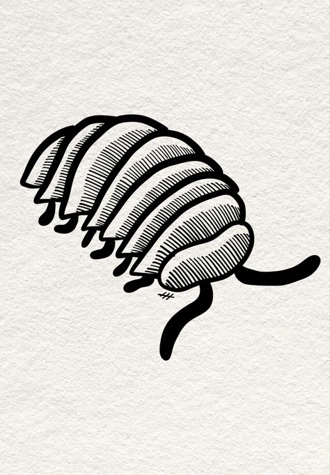 Pill bug tattoo stencil Isopods Art, Pill Bug Art, Simple Cicada Drawing, Bug Outline Drawing, Pillbug Drawing, Bug Drawings Simple, Bug Lino Print, Roly Poly Drawing, Small Bug Tattoo Ideas