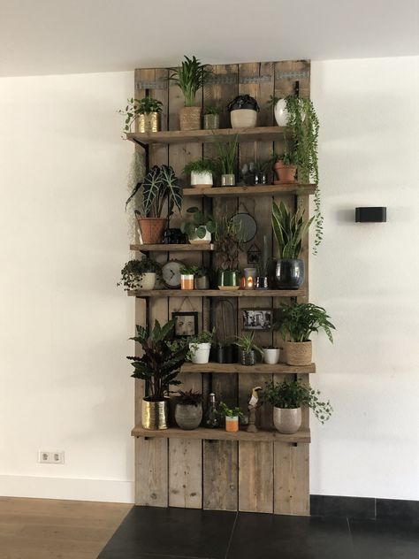 Shelf With Plants, Shelf Over Door, Plant Shelf, Basement Remodel, Door Cover, Plant Shelves, Architecture Sketch, Basement Remodeling, A Shelf