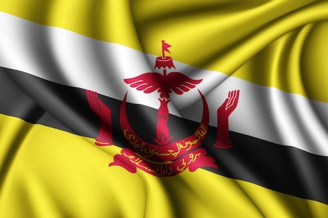 Waving silk flag of brunei | Premium Photo #Freepik #photo #flag-wave #nationality #national-flag #independence Brunei Flag, Premium Photo, Brunei, Aurora Sleeping Beauty, Flag, Stock Photos, Silk, Disney Characters, Fictional Characters