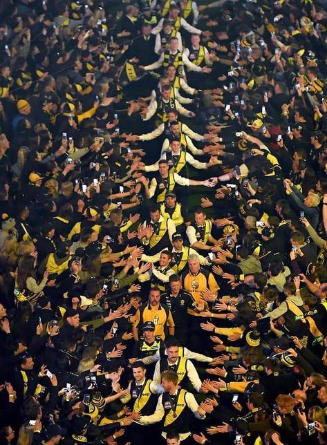 Richmond Football Club, 2019 AFL premiers. Richmond Wallpaper, Afc Richmond Aesthetic, Richmond Tigers Wallpaper, Afl Aesthetic, Afl Wallpaper, Afl Richmond, Richmond Tigers, Geelong Football Club, Richmond Afl