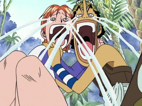 Nami Usopp, One Piece Meme, Anime Friendship, Nami One Piece, One Piece Funny, One Piece Images, Best Duos, One Piece Pictures, One Piece Fanart