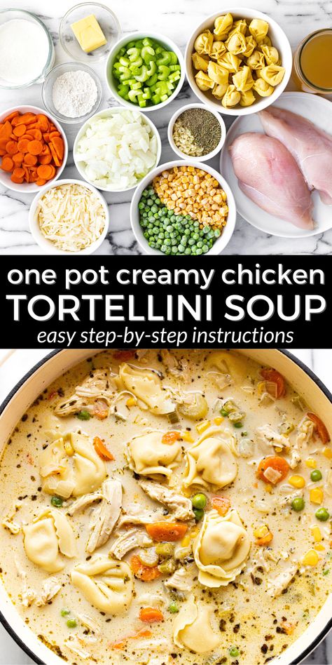 This chicken tortellini soup is the perfect one pot meal that comes together in just over 30 minutes! It's loaded with classic comfort food flavors that your family will love. Food Flavors, Chicken Tortellini Soup, Chicken Tortellini, Night Recipes, Pot Pie Soup, Creamy Chicken Soup, Tortellini Recipes, Easy One Pot Meals, One Pot Chicken