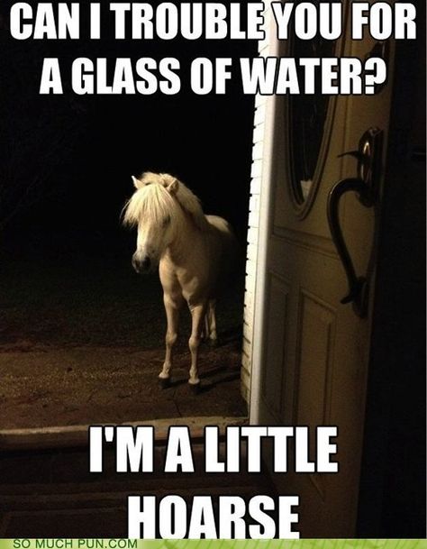 Welcome to the Neigh-borhood Horse Puns, Funny Horses, Animal Funny, Horse Quotes, Funny Horse, E Mc2, Funny Funny, E Card, Funny Animal Pictures