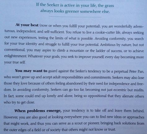 Excerpt on the Seeker archetype (my highest) Seeker Archetype, The Mystic Archetype Aesthetic, The Sage Archetype, The Seeker Archetype, The Mystic Archetype, The Explorer Archetype, Explorer Archetype Branding, Carl Jung Archetypes, Muslim Faith