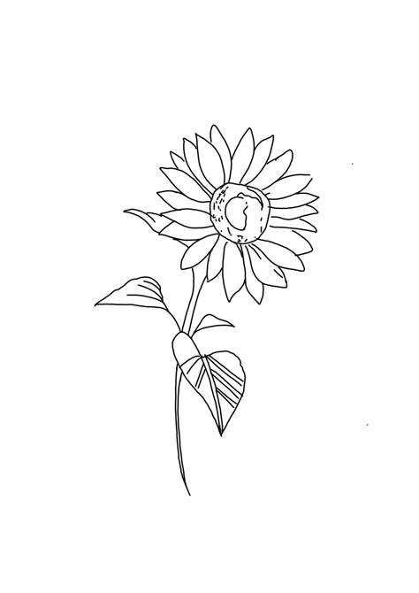 Line Work Sunflower Tattoo, Sunflower Tattoo Linework, Daisy Tattoo Stencil, Sunflower Line Tattoo, Sunflower Fine Line Tattoo, Sunflower Tattoo Minimalist, Minimalist Plant Drawing, Minimalistic Sunflower Tattoo, Simple Sunflower Tattoo