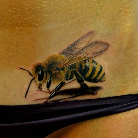 Honey Bee Tattoo, Amazing 3d Tattoos, Tattoo Over Scar, Bumble Bee Tattoo, Chrysanthemum Tattoo, Lion Head Tattoos, Pencil Drawings Of Animals, Forest Tattoos, Cartoon Character Tattoos