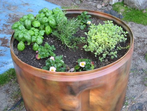 Upcycle Dryer Drum, Old Dryer Drum Ideas, Dryer Drum Planter, Washer Drum, Welded Wire Fence, Upcycled Garden, Recycle Old Clothes, Radio Flyer Wagons, Fencing Material